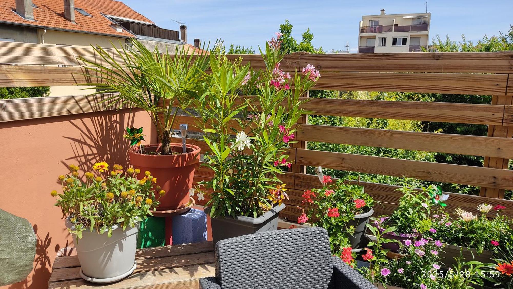 Les Bonbonieres D'Andrea Gavinies Pellegrin Apartment Bordeaux Exterior photo