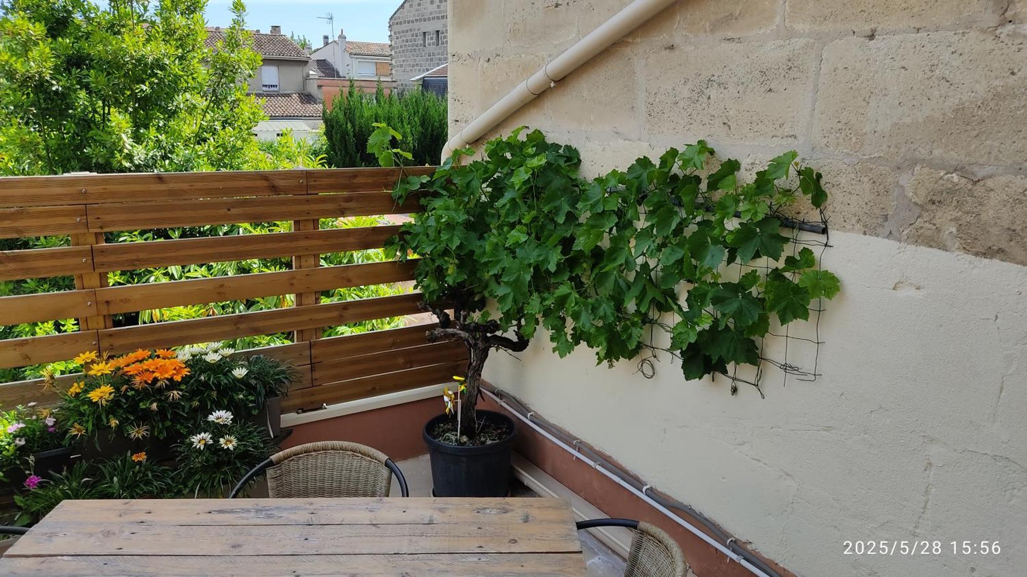 Les Bonbonieres D'Andrea Gavinies Pellegrin Apartment Bordeaux Exterior photo