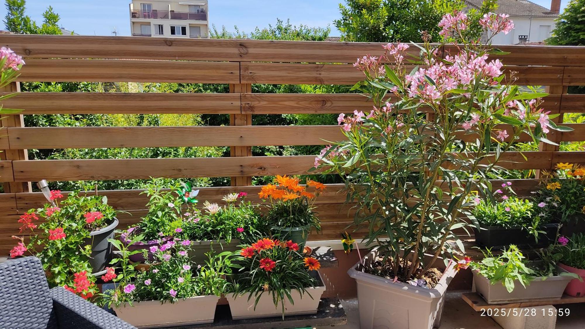 Les Bonbonieres D'Andrea Gavinies Pellegrin Apartment Bordeaux Exterior photo