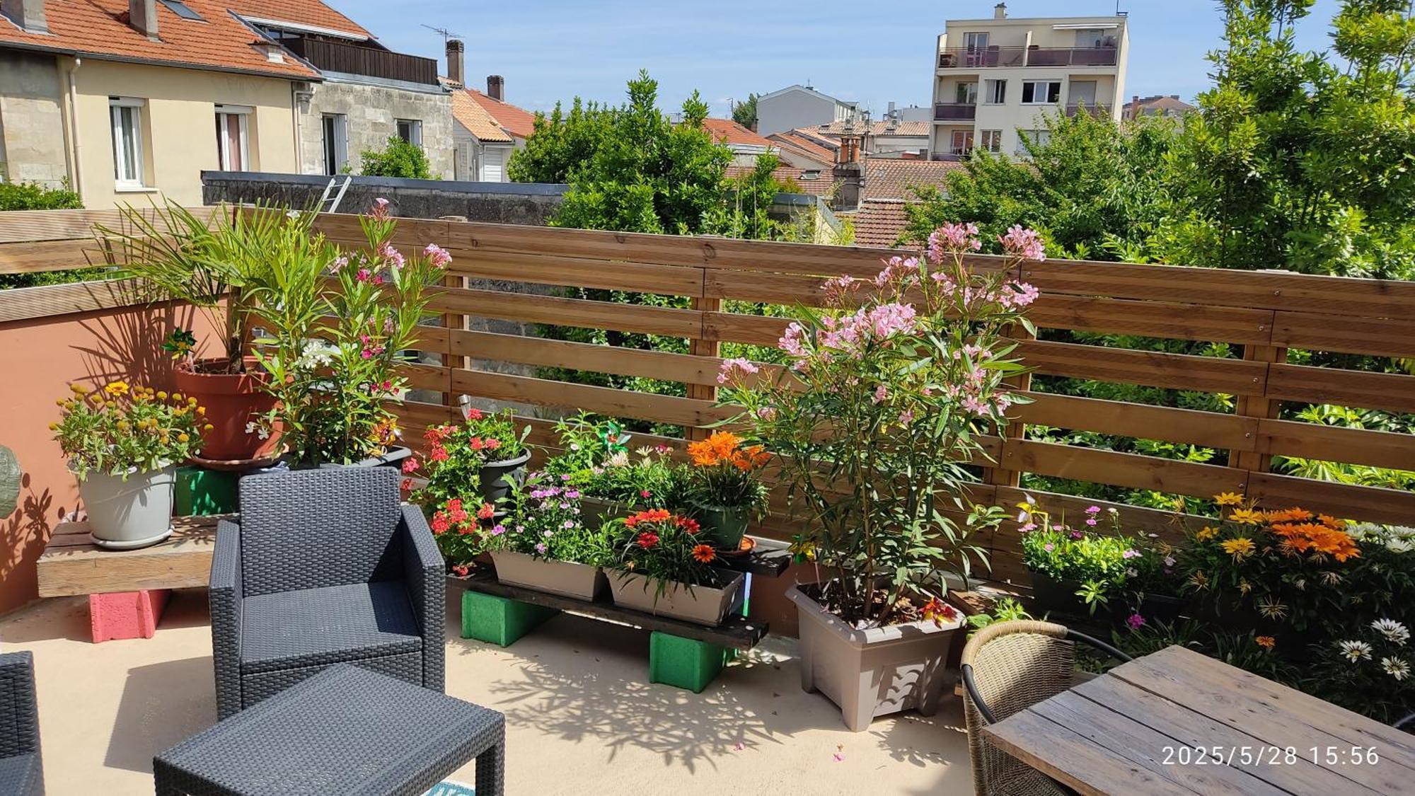 Les Bonbonieres D'Andrea Gavinies Pellegrin Apartment Bordeaux Exterior photo